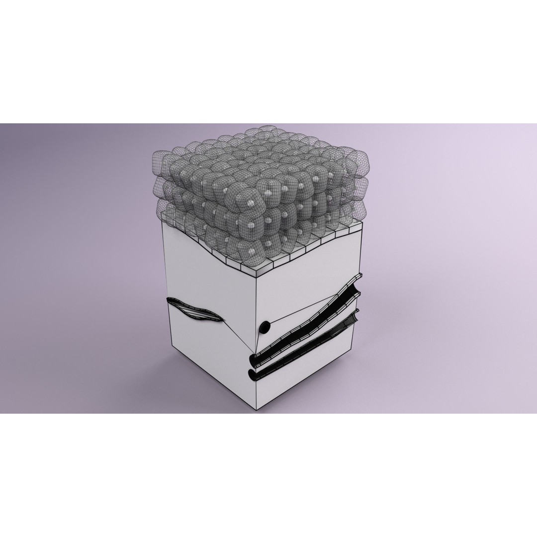 Epithelial Cell 3D Model – Low Poly Medical Asset, UV Mapped Formats - View 32