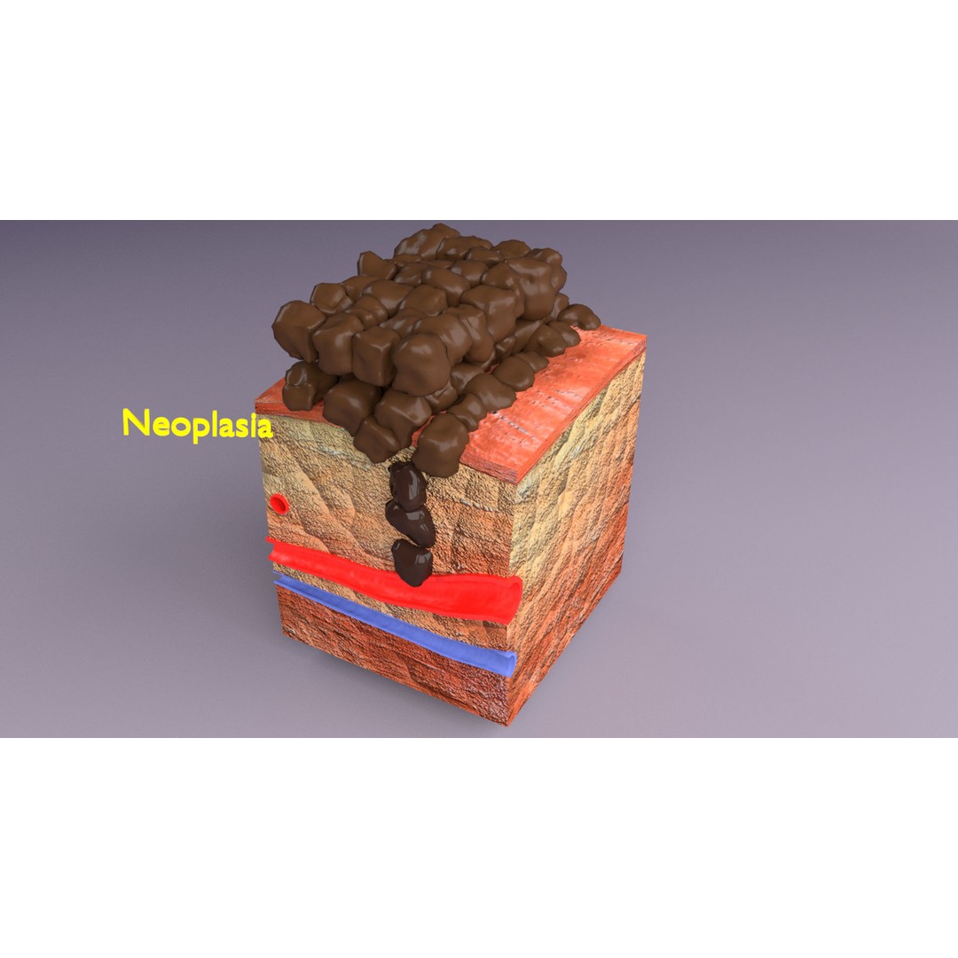 Epithelial Cell 3D Model – Low Poly Medical Asset, UV Mapped Formats - View 4
