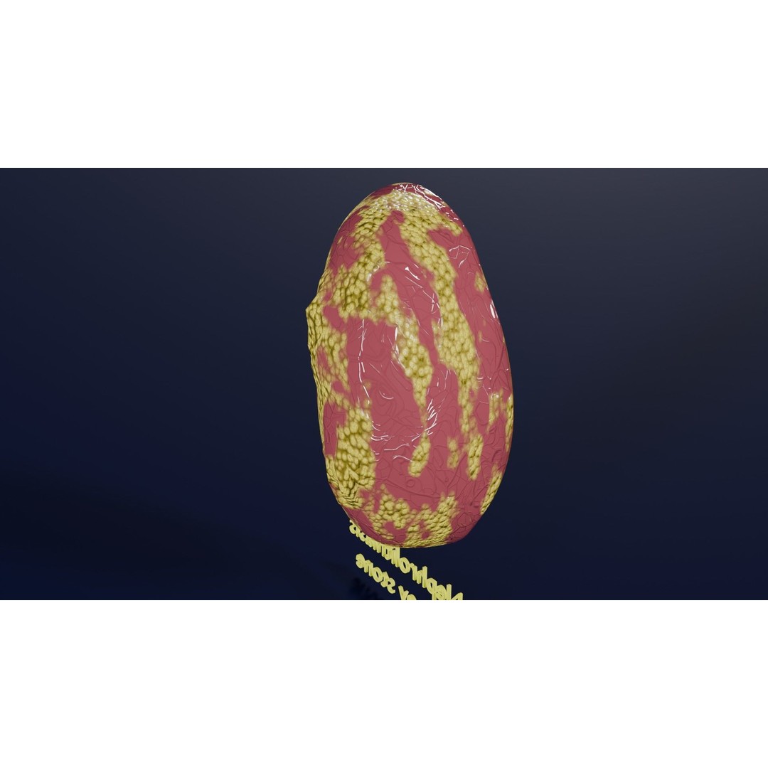 Kidney Stone 3D Model – Low Poly Medical Asset, PBR Textures, FBX - View 11