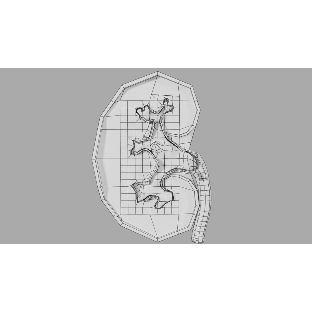 Kidney Stone 3D Model – Low Poly Medical Asset, PBR Textures, FBX - View 23