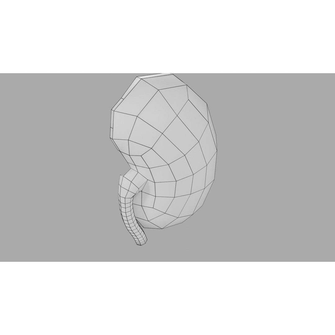 Kidney Stone 3D Model – Low Poly Medical Asset, PBR Textures, FBX - View 31