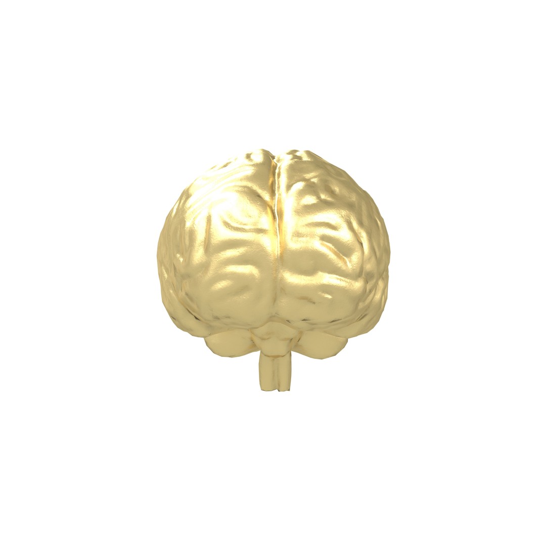 Brain Icon 3D Model – Low Poly Cartoon Asset, PBR Textures - View 3