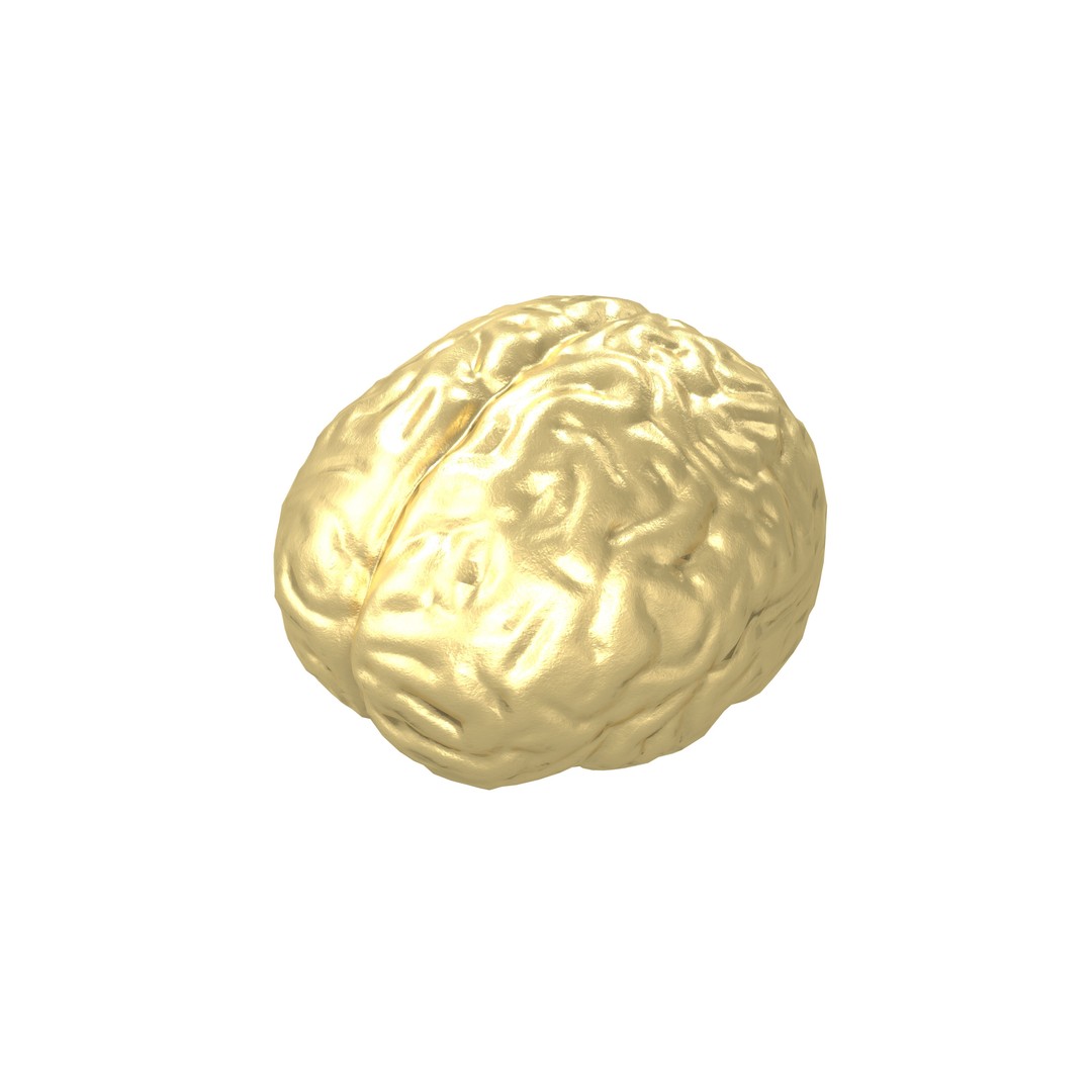 Brain Icon 3D Model – Low Poly Cartoon Asset, PBR Textures - View 4