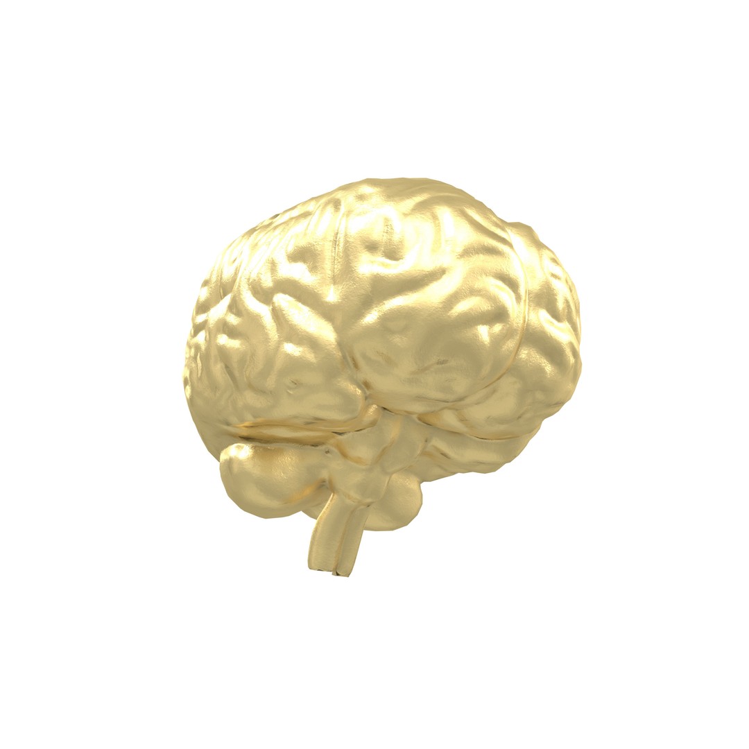 Brain Icon 3D Model – Low Poly Cartoon Asset, PBR Textures - View 5