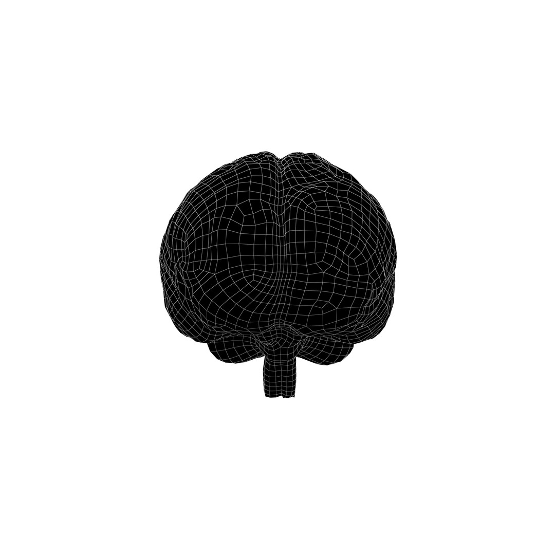 Brain Icon 3D Model – Low Poly Cartoon Asset, PBR Textures - View 7