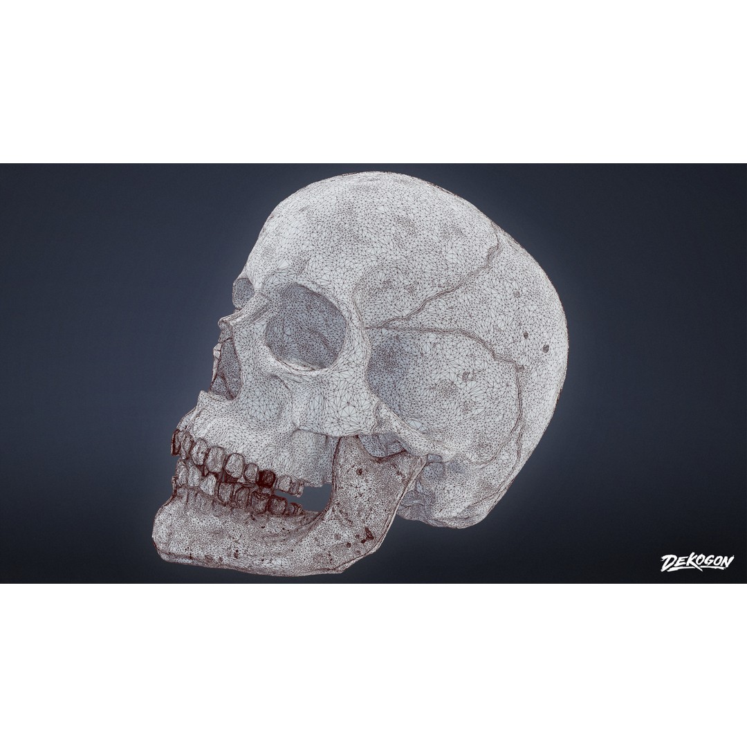 Human Skull 3D Model – Low Poly Game Asset, PBR Textures, FBX - View 10