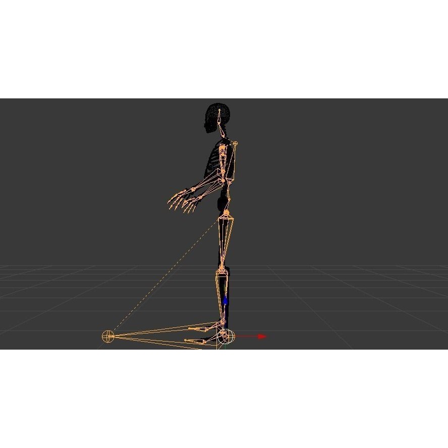 Skeleton 3D Model – Low Poly Rigged Anatomy Asset, FBX, Blender
