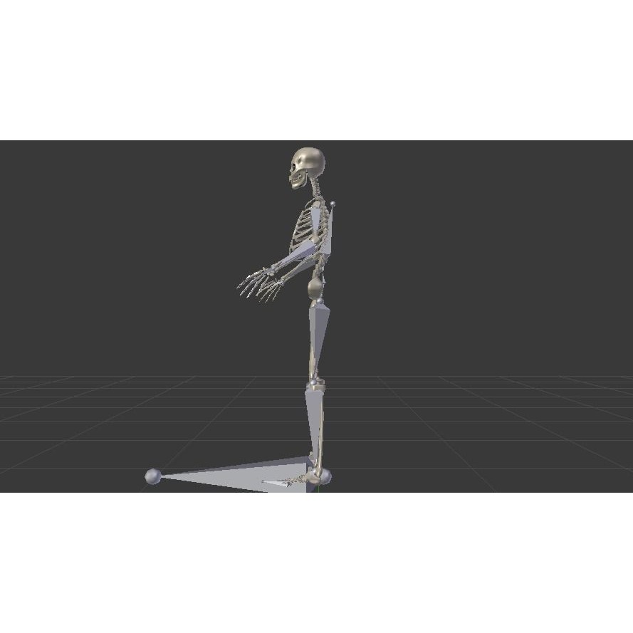 Skeleton 3D Model – Low Poly Rigged Anatomy Asset, FBX, Blender - View 13