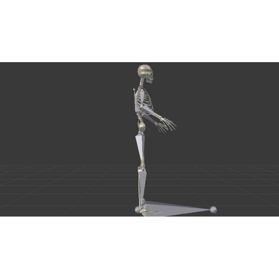 Skeleton 3D Model – Low Poly Rigged Anatomy Asset, FBX, Blender - View 15