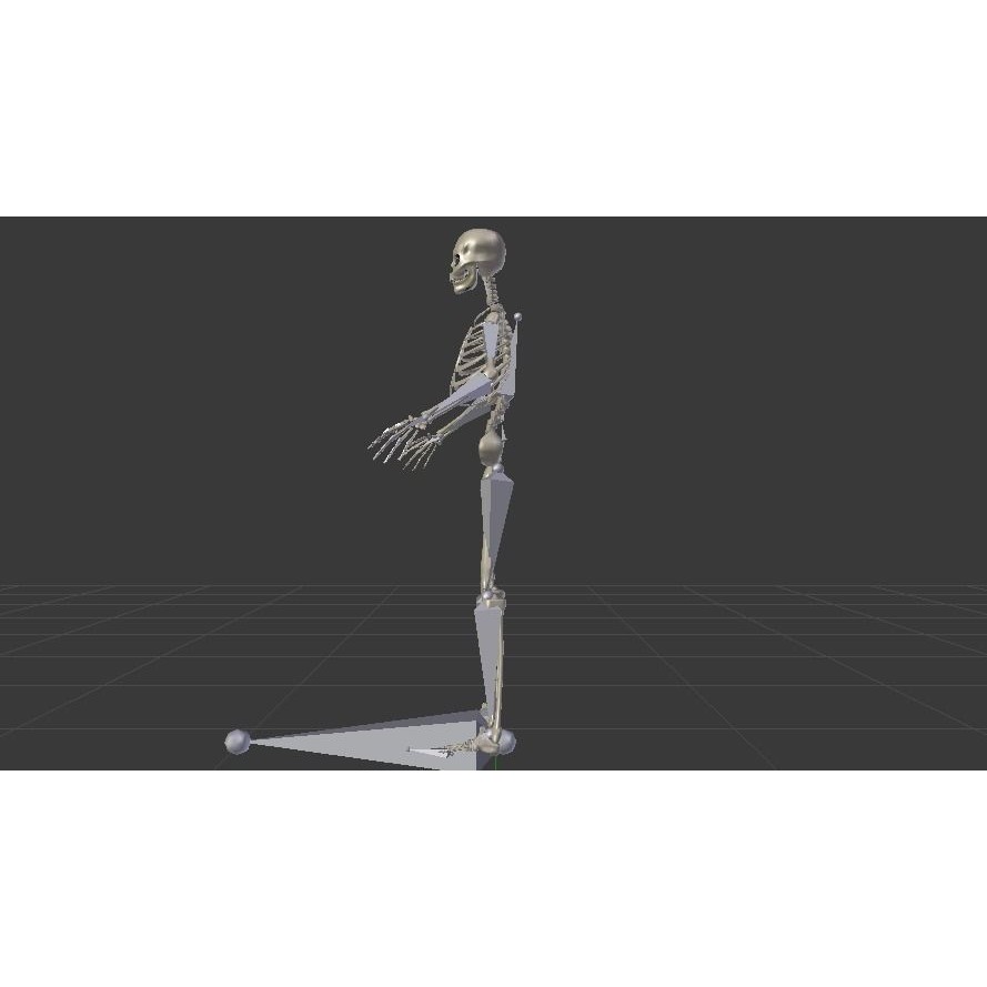 Skeleton 3D Model – Low Poly Rigged Anatomy Asset, FBX, Blender - View 17