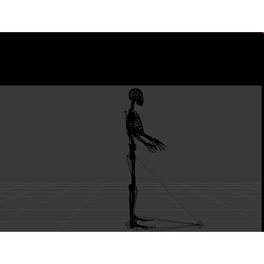 Skeleton 3D Model – Low Poly Rigged Anatomy Asset, FBX, Blender - View 19