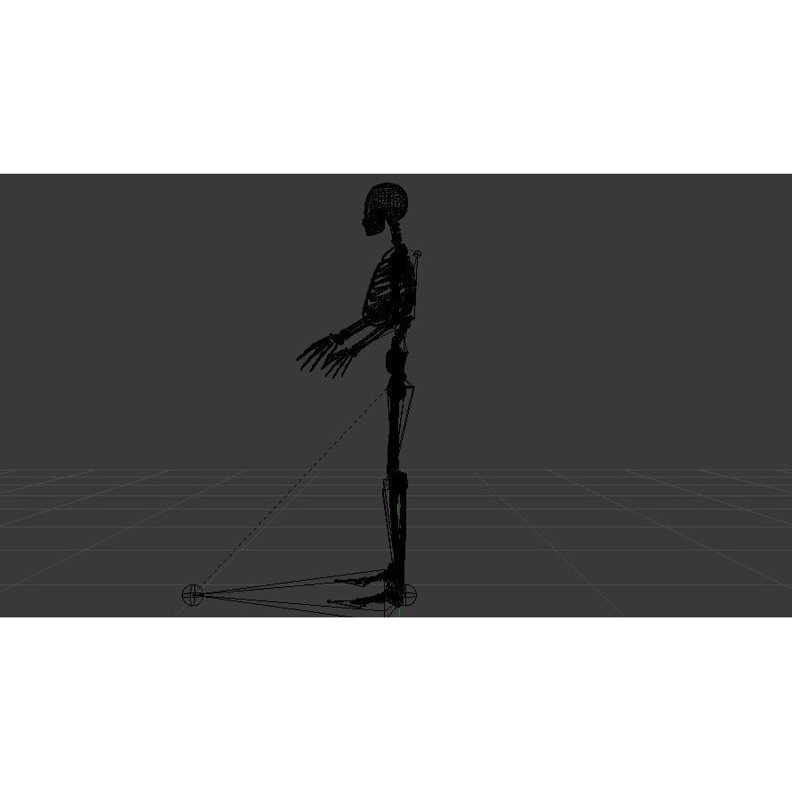 Skeleton 3D Model – Low Poly Rigged Anatomy Asset, FBX, Blender - View 21