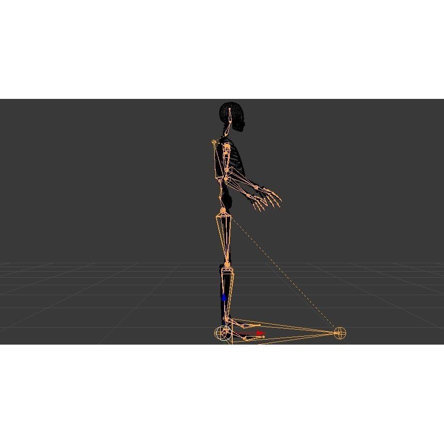 Skeleton 3D Model – Low Poly Rigged Anatomy Asset, FBX, Blender - View 23