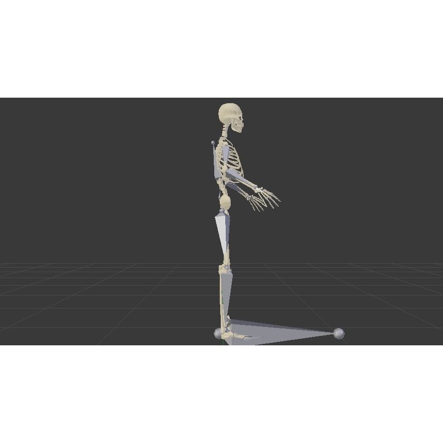 Skeleton 3D Model – Low Poly Rigged Anatomy Asset, FBX, Blender - View 7