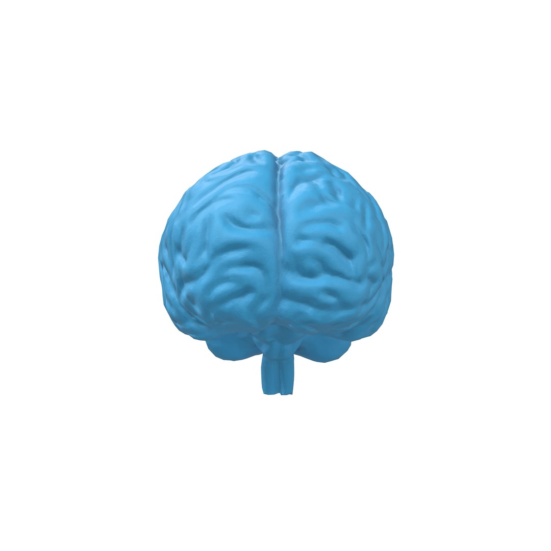 Brain Icon 3D Model – Low Poly Cartoon Asset, PBR Textures - View 3
