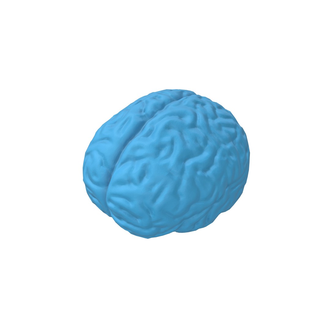 Brain Icon 3D Model – Low Poly Cartoon Asset, PBR Textures - View 4