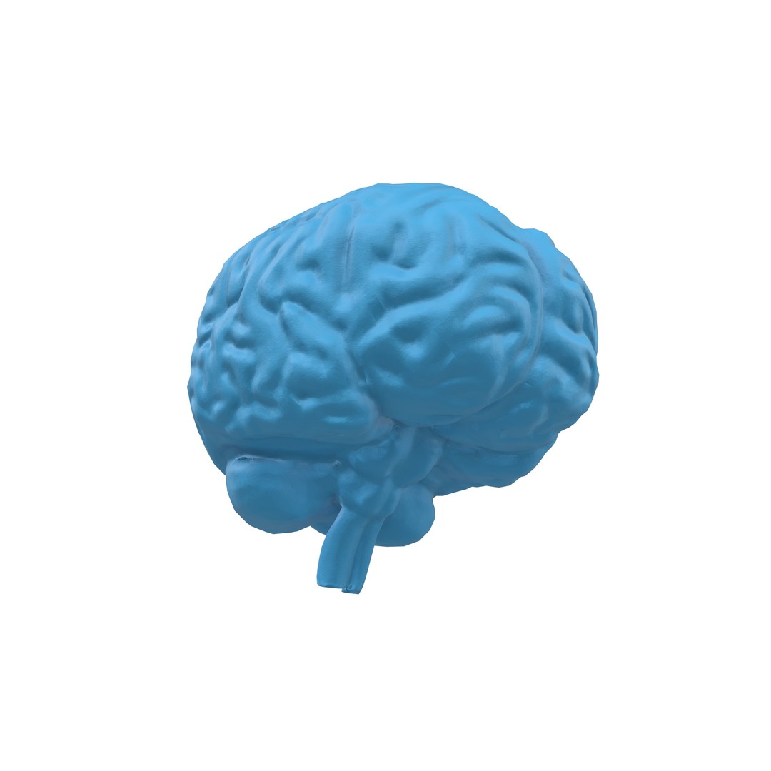 Brain Icon 3D Model – Low Poly Cartoon Asset, PBR Textures - View 5