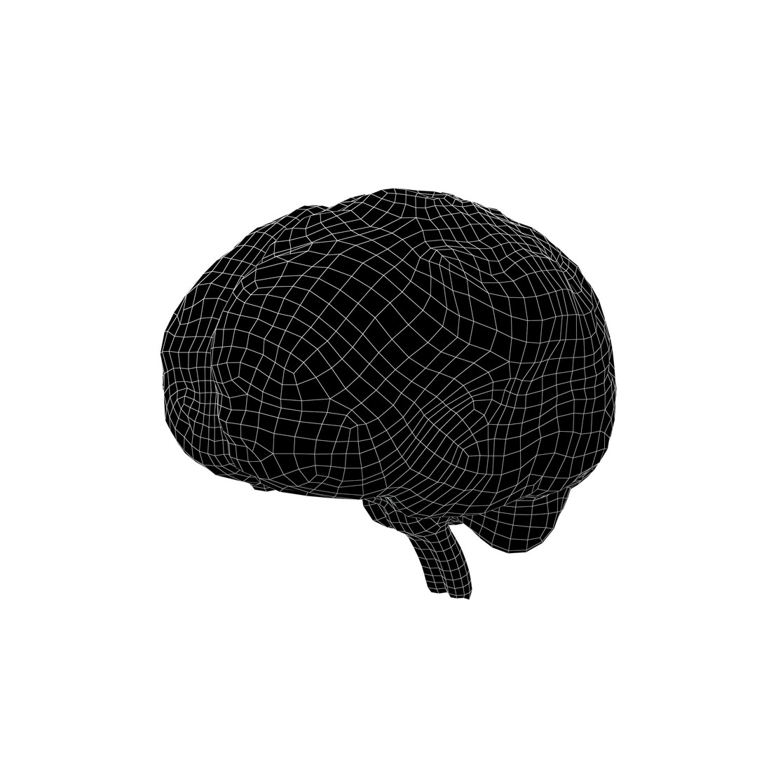 Brain Icon 3D Model – Low Poly Cartoon Asset, PBR Textures - View 6