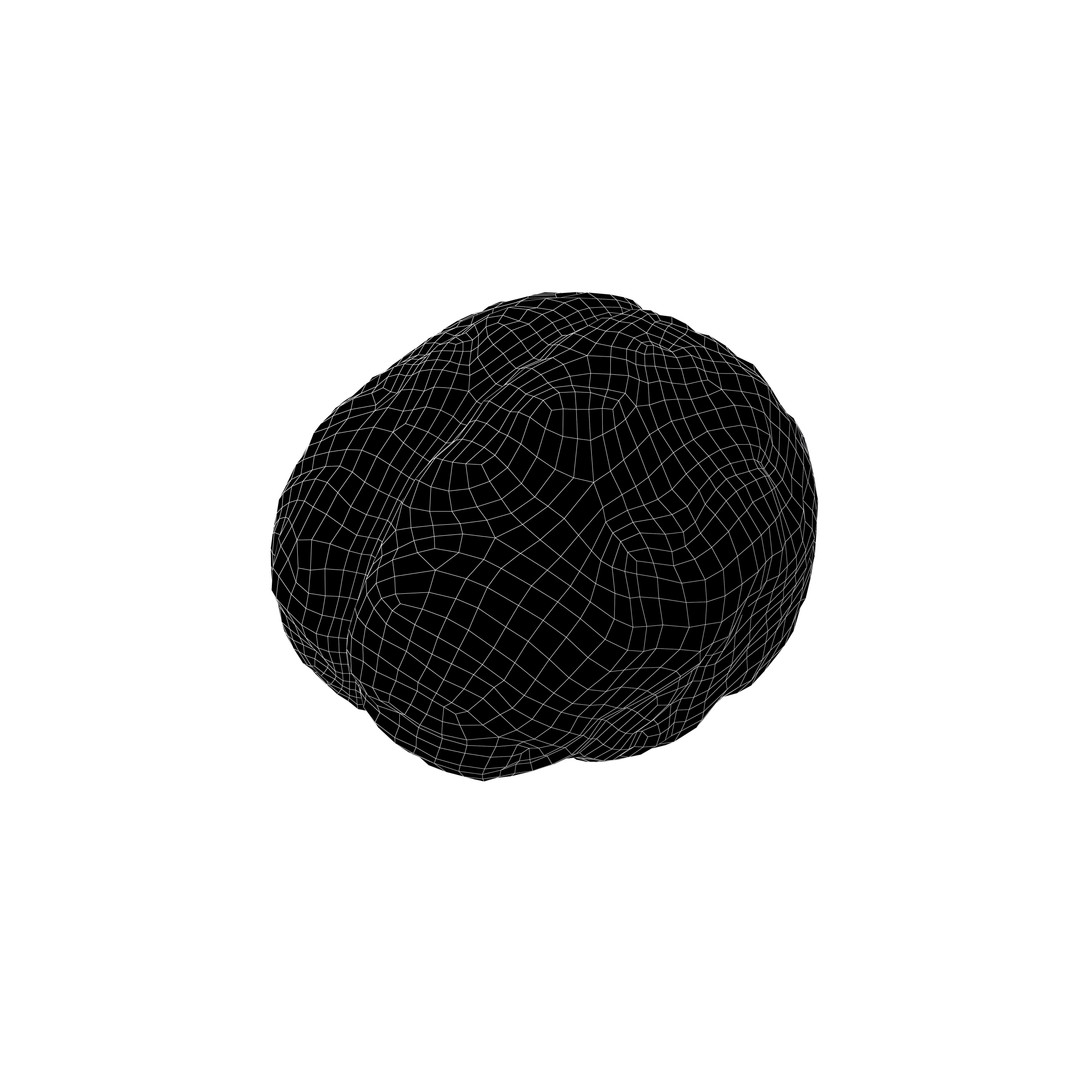 Brain Icon 3D Model – Low Poly Cartoon Asset, PBR Textures - View 8