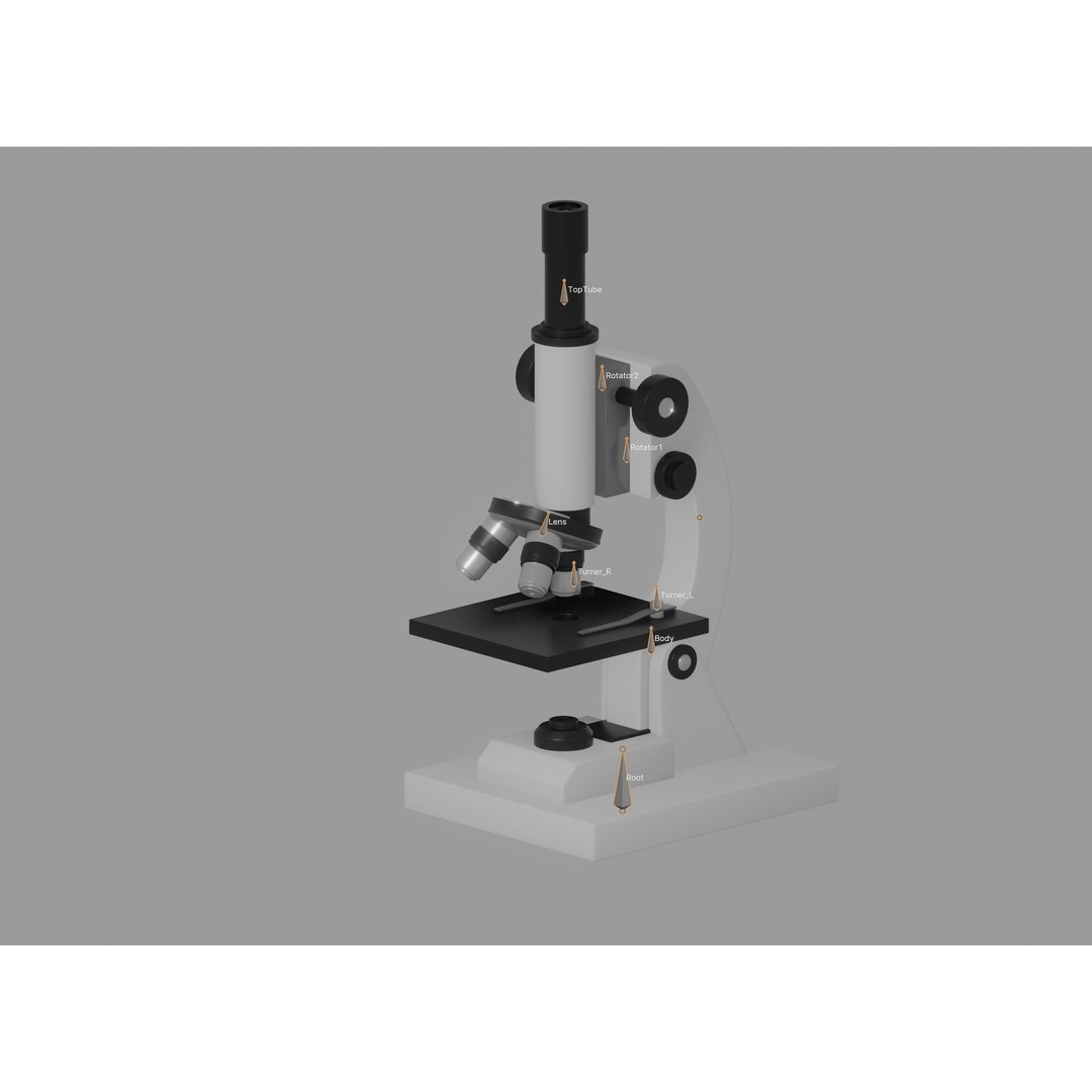 Microscope 3D Model – Rigged Laboratory Asset, FBX, OBJ - View 21