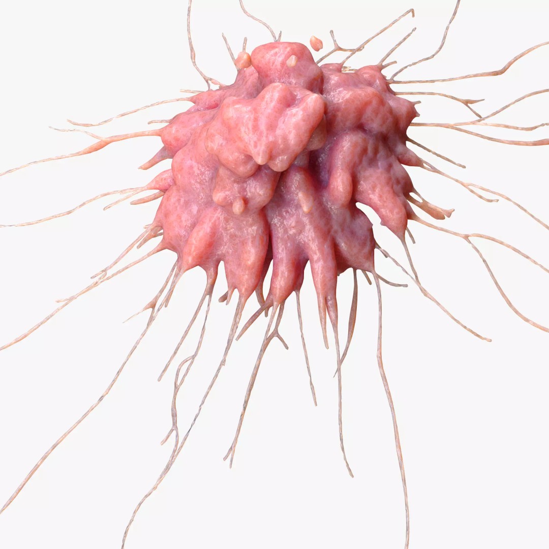 Cancer Cell Tumor 3D Model – High Poly Anatomical Asset, FBX, OBJ - View 2