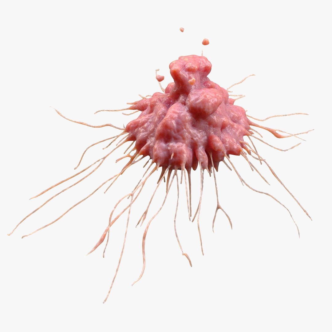 Cancer Cell Tumor 3D Model – High Poly Anatomical Asset, FBX, OBJ - View 3