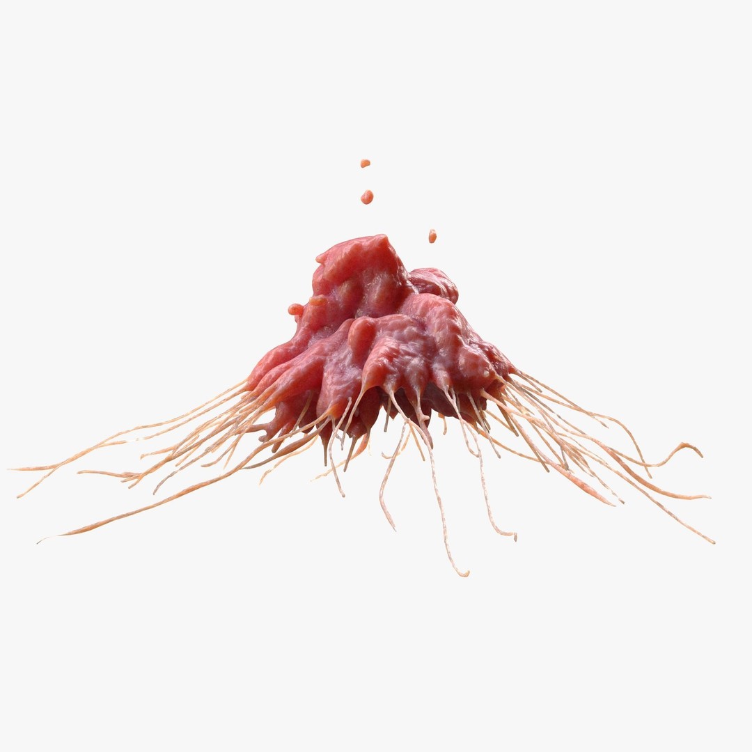 Cancer Cell Tumor 3D Model – High Poly Anatomical Asset, FBX, OBJ - View 4