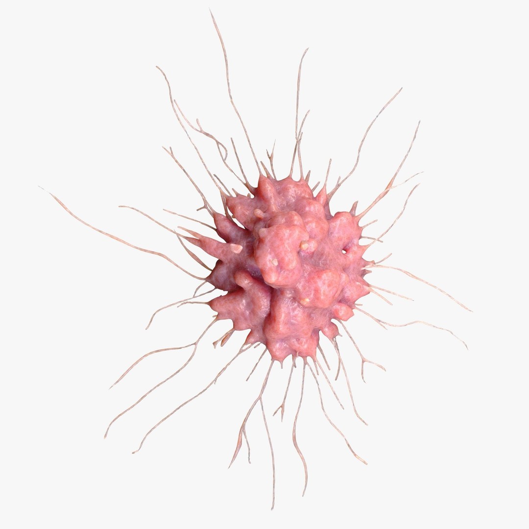Cancer Cell Tumor 3D Model – High Poly Anatomical Asset, FBX, OBJ - View 5
