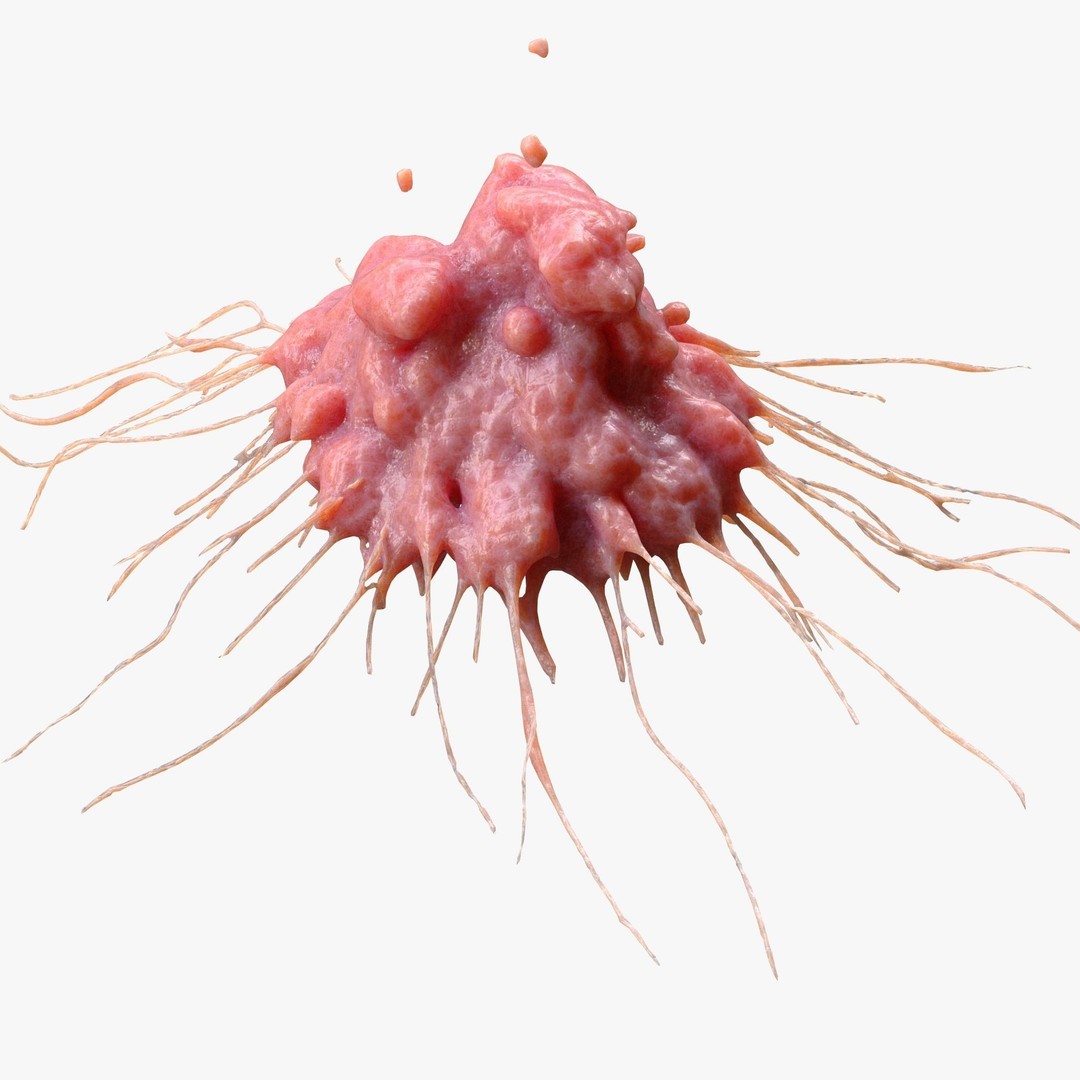 Cancer Cell Tumor 3D Model – High Poly Anatomical Asset, FBX, OBJ - View 6
