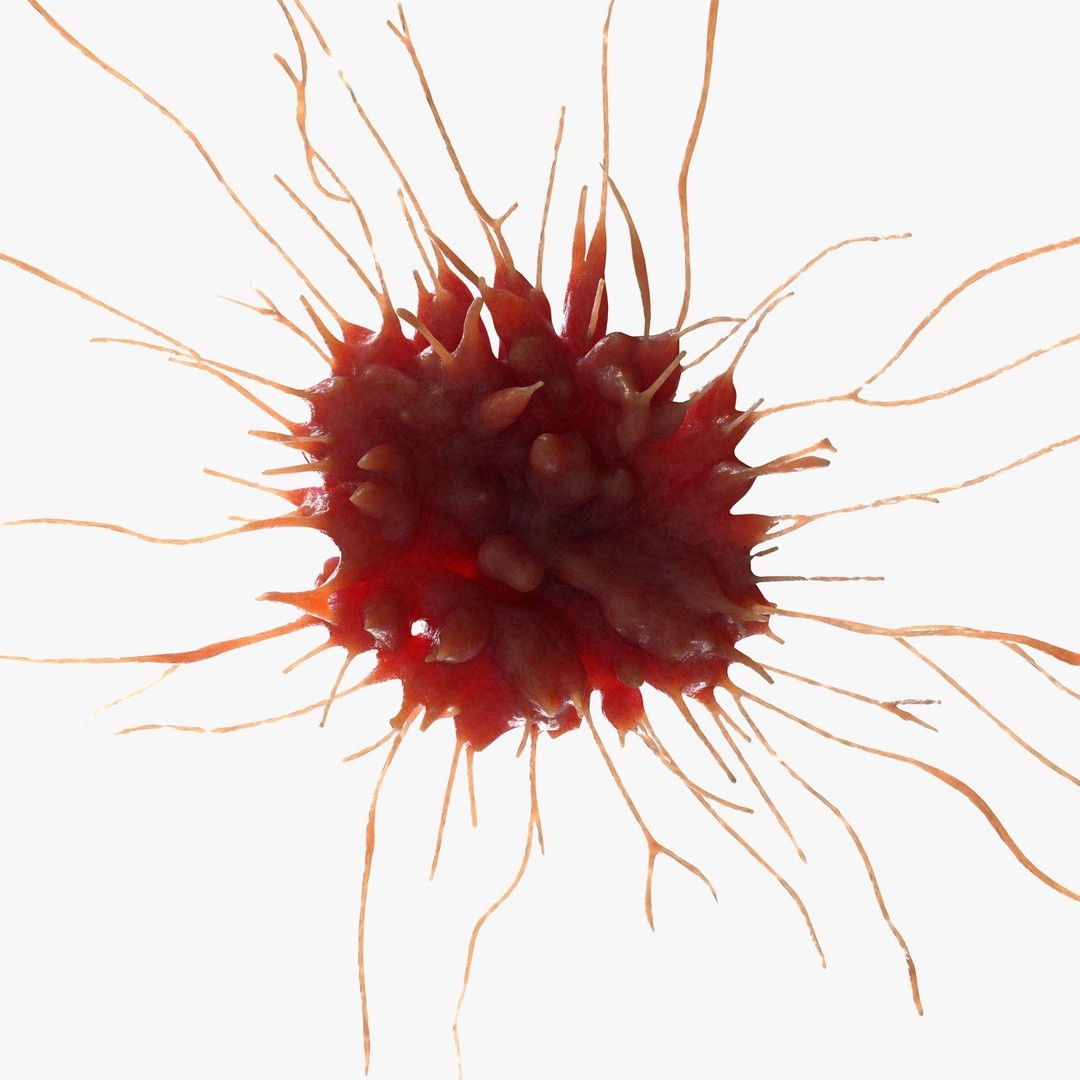 Cancer Cell Tumor 3D Model – High Poly Anatomical Asset, FBX, OBJ - View 7