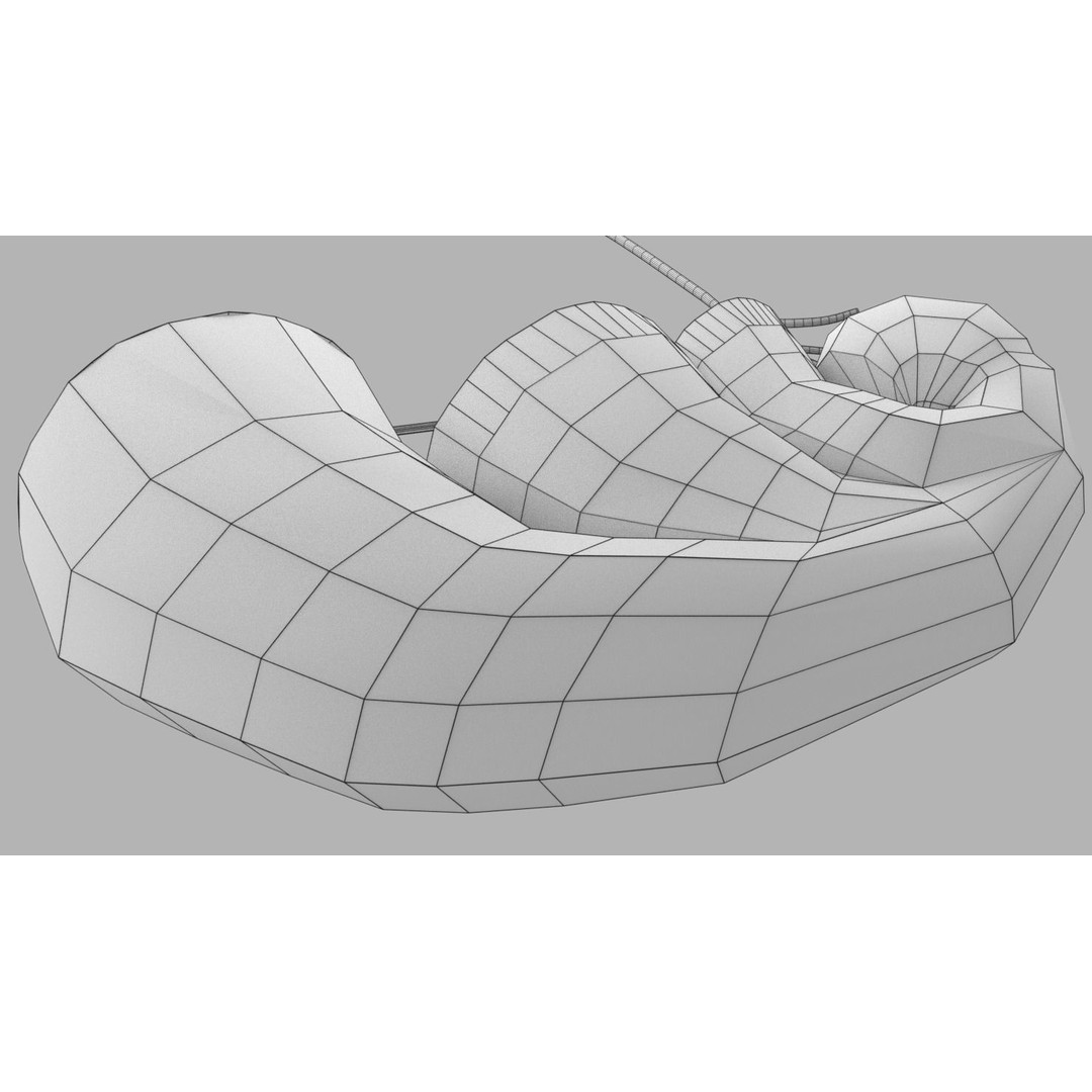Cochlear Duct 3D Model – Detailed Inner Ear Anatomy, Blender, FBX, OBJ - View 21