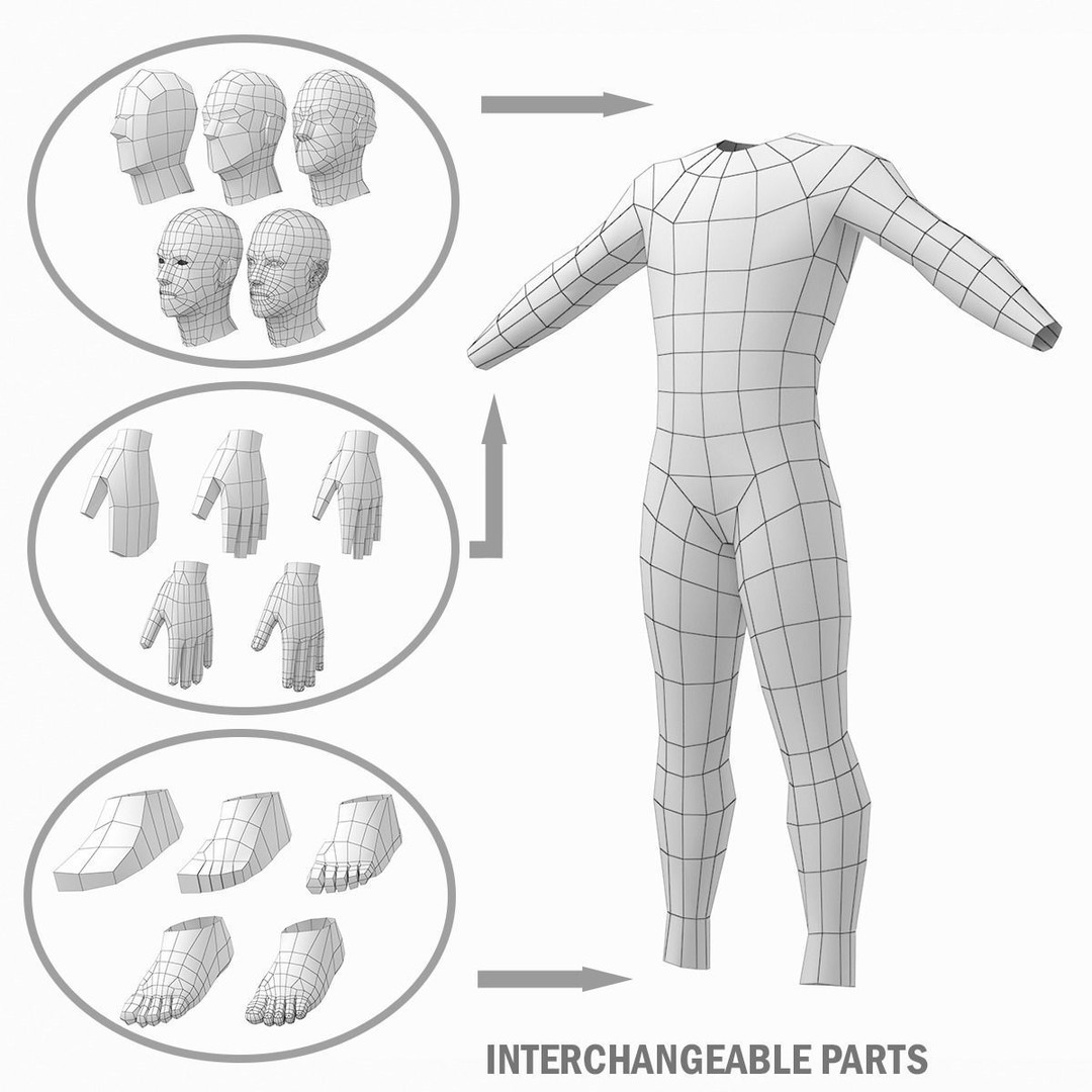 Natural Male 3D Model – Low Poly Base Mesh in 5 Topologies, FBX