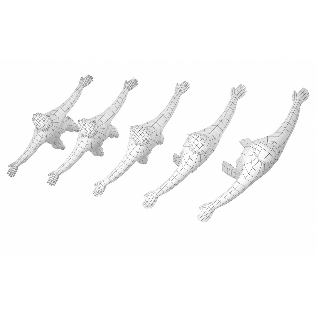 Natural Male 3D Model – Low Poly Base Mesh in 5 Topologies, FBX - View 12