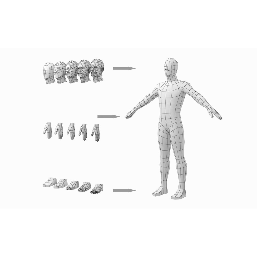 Natural Male 3D Model – Low Poly Base Mesh in 5 Topologies, FBX - View 22