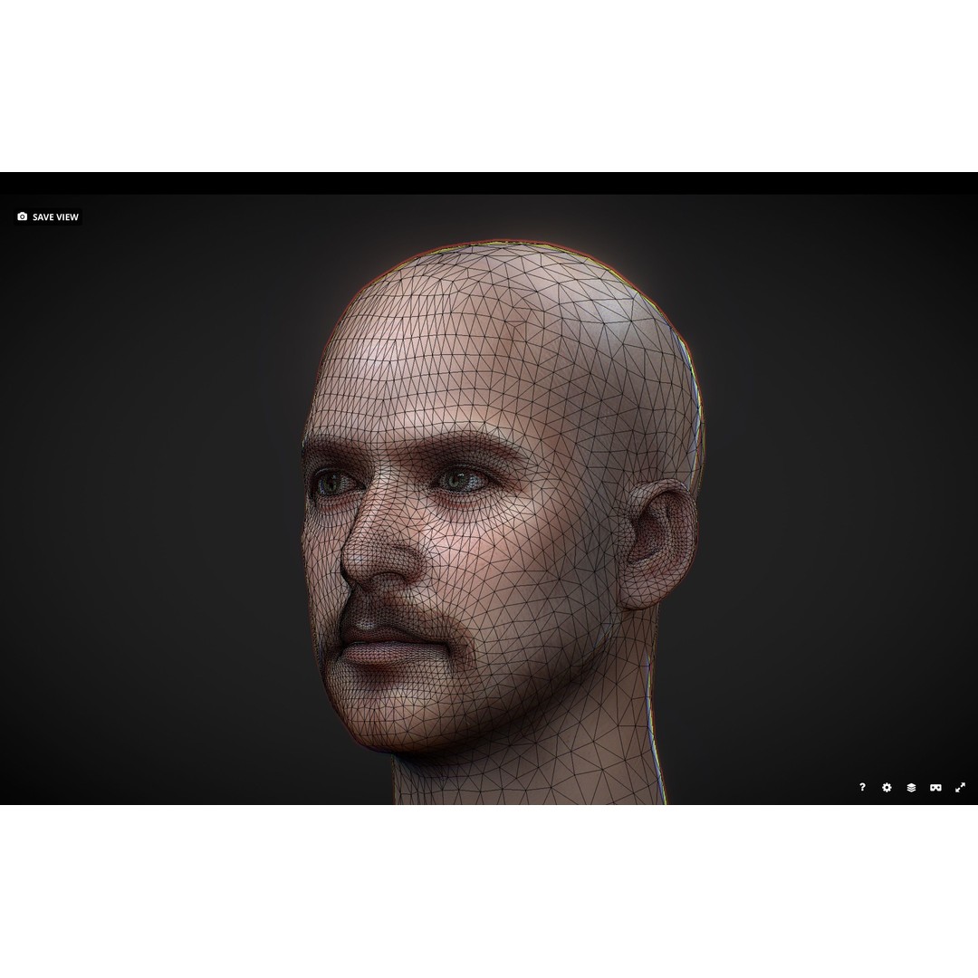 Realistic Male Head 3D Model – Low Poly Game Asset, PBR Textures - View 11