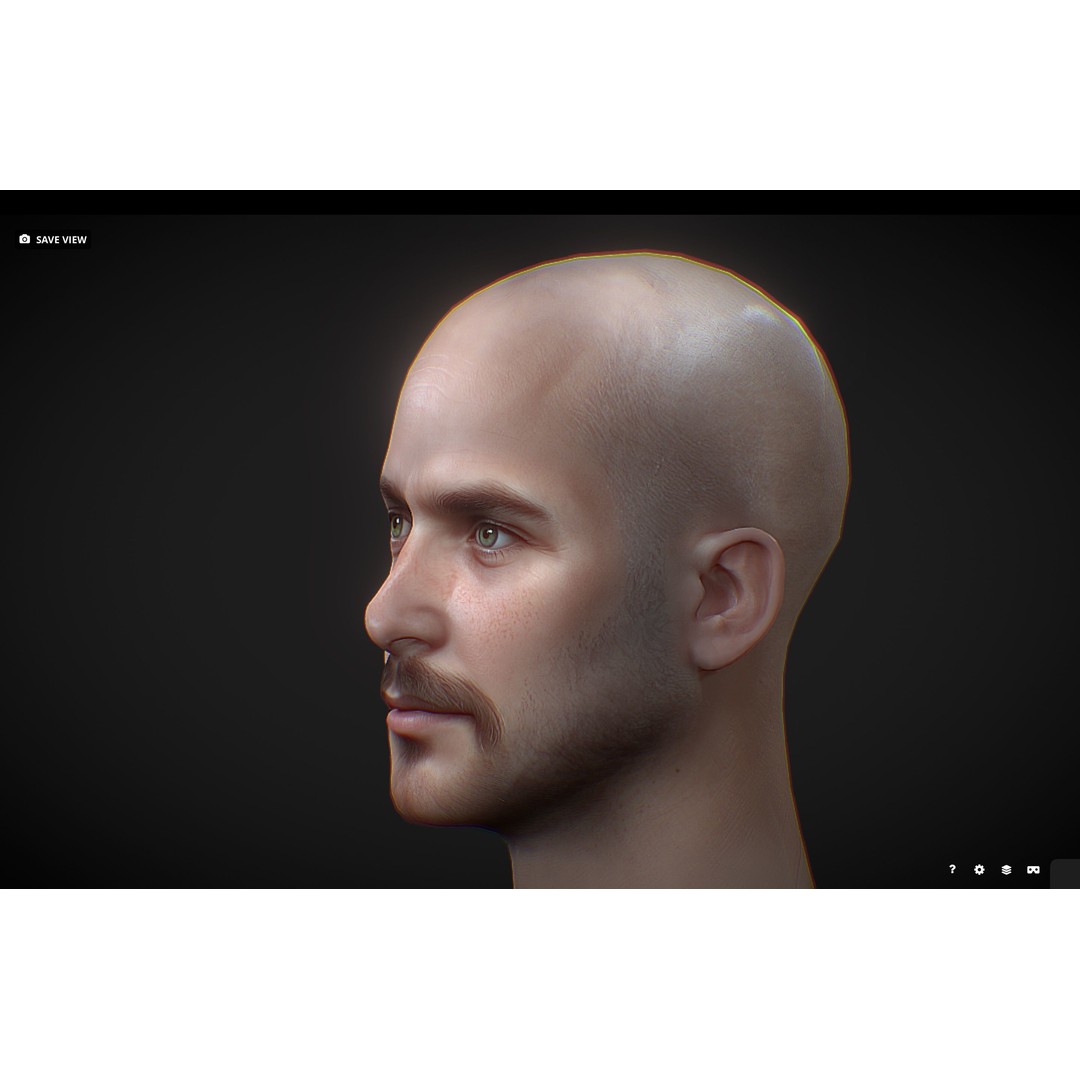 Realistic Male Head 3D Model – Low Poly Game Asset, PBR Textures - View 17