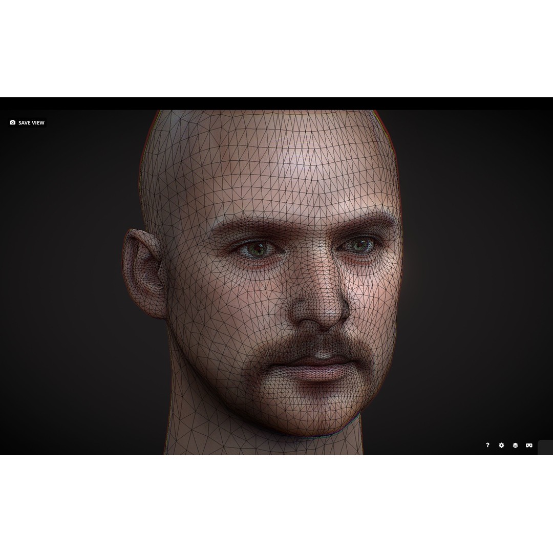 Realistic Male Head 3D Model – Low Poly Game Asset, PBR Textures - View 8
