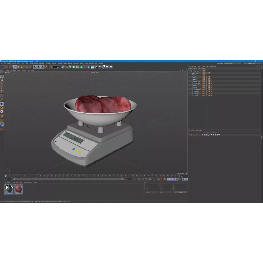 Lung on Scales 3D Model – High-Quality Medical Weighing Device, FBX