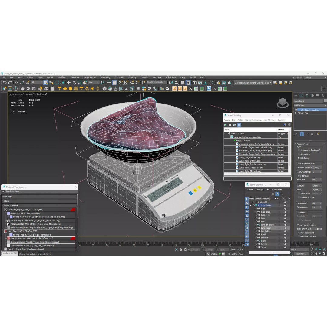 Lung on Scales 3D Model – High-Quality Medical Weighing Device, FBX - View 16