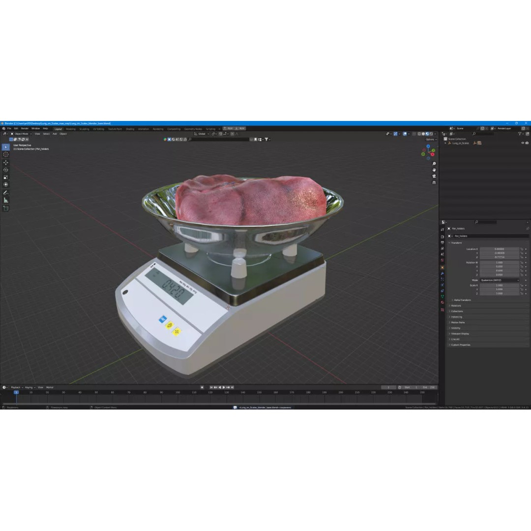 Lung on Scales 3D Model – High-Quality Medical Weighing Device, FBX - View 18