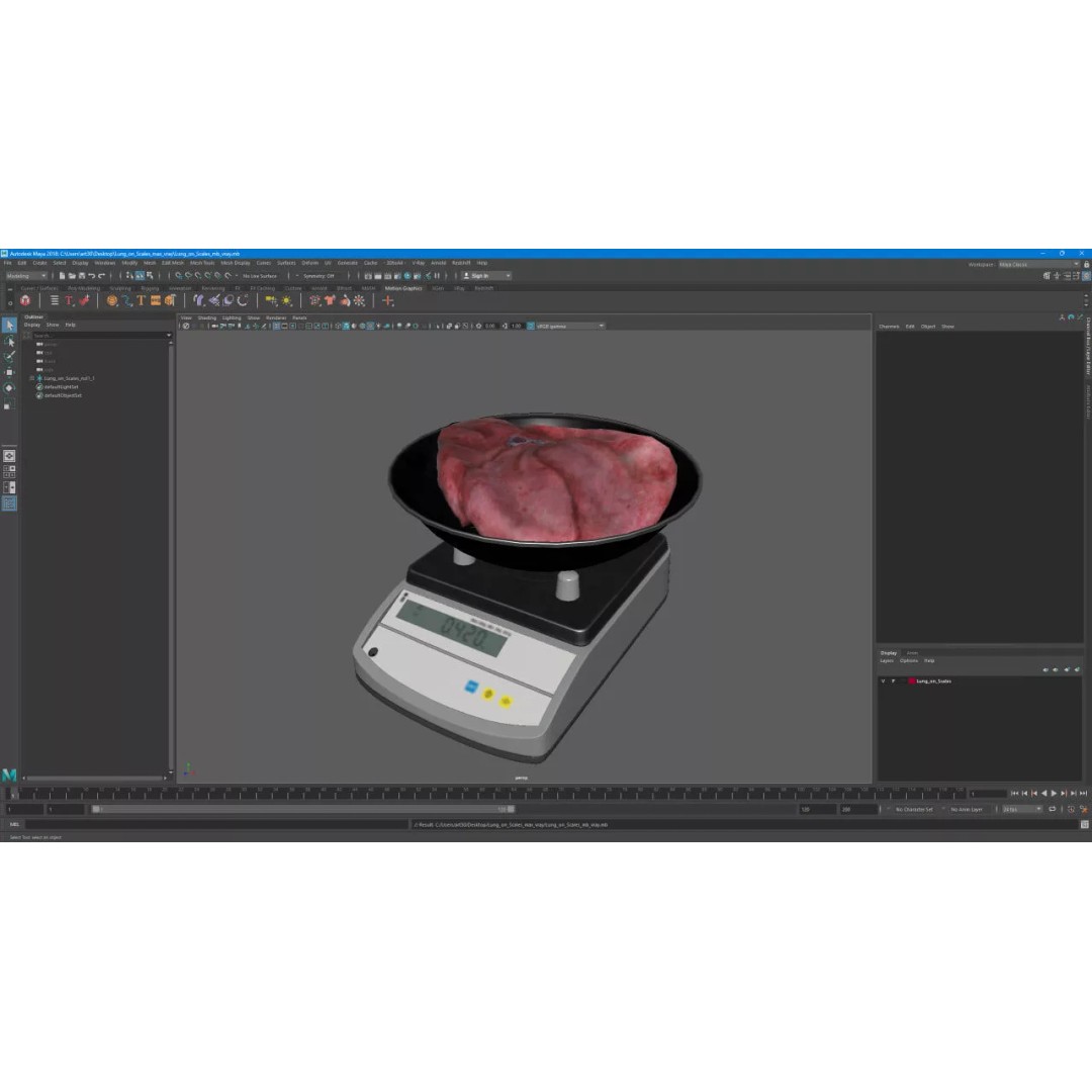 Lung on Scales 3D Model – High-Quality Medical Weighing Device, FBX - View 19