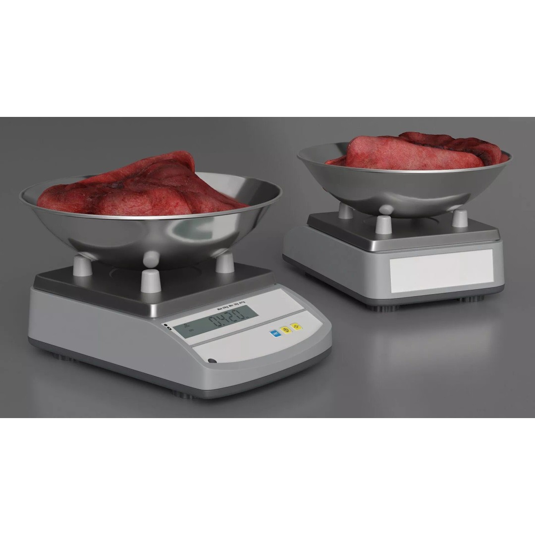 Lung on Scales 3D Model – High-Quality Medical Weighing Device, FBX - View 5