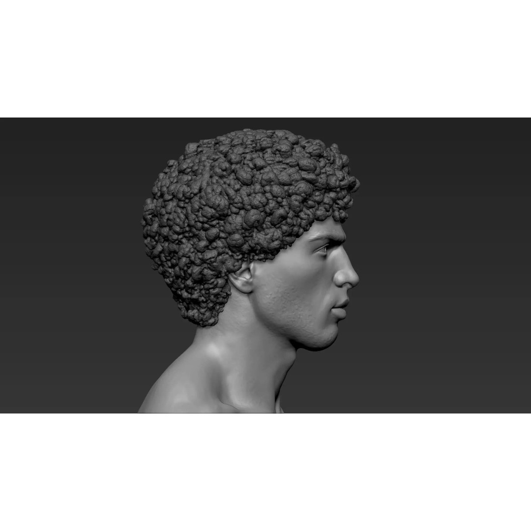Male Bust 3D Model – High Poly Character Sculpture, ZTL & OBJ - View 10