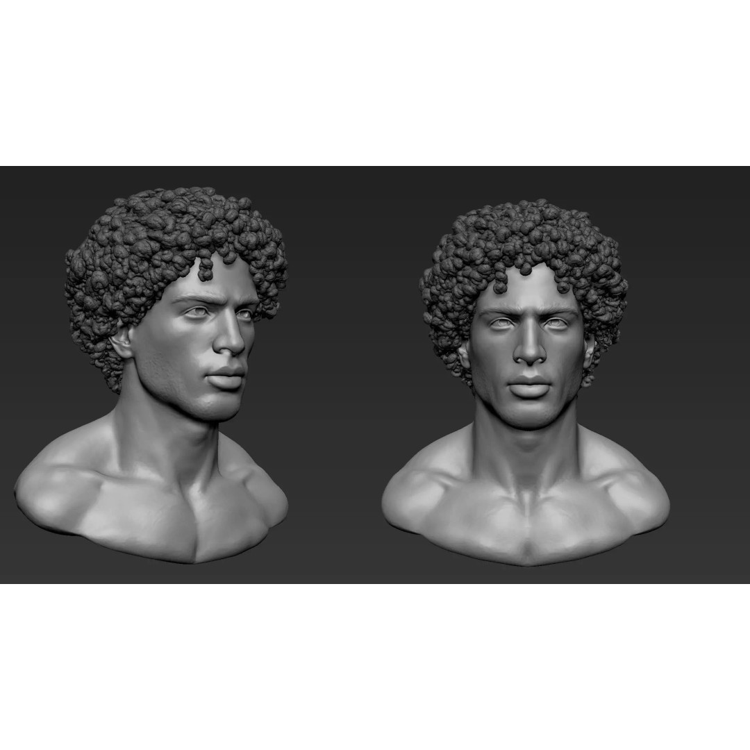 Male Bust 3D Model – High Poly Character Sculpture, ZTL & OBJ - View 11