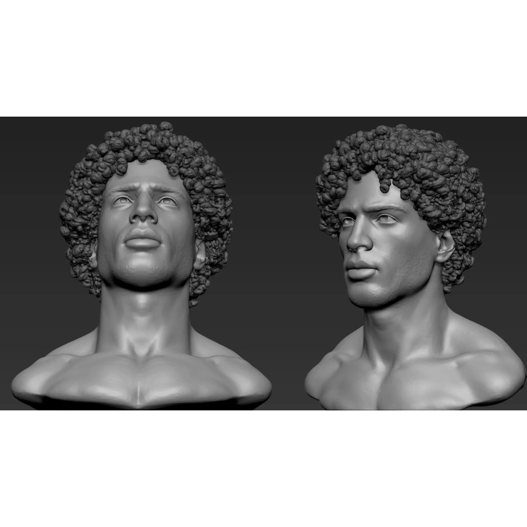 Male Bust 3D Model – High Poly Character Sculpture, ZTL & OBJ - View 12