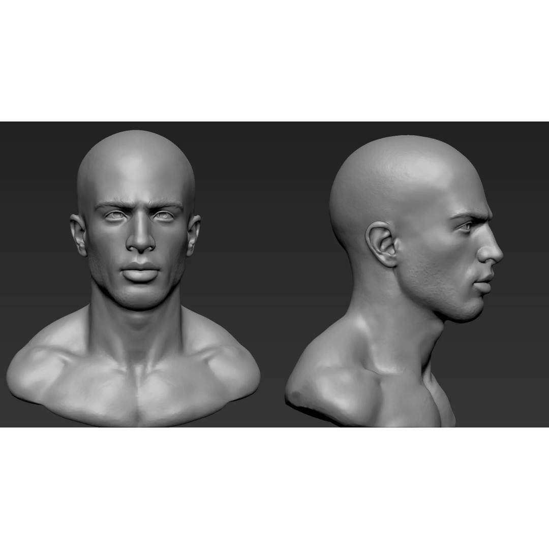 Male Bust 3D Model – High Poly Character Sculpture, ZTL & OBJ - View 13