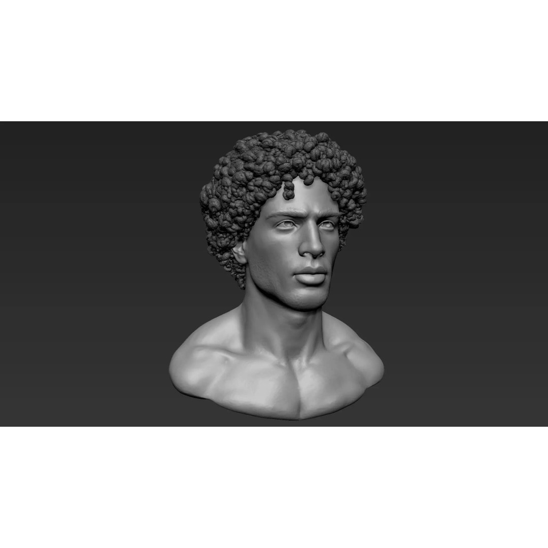 Male Bust 3D Model – High Poly Character Sculpture, ZTL & OBJ - View 2