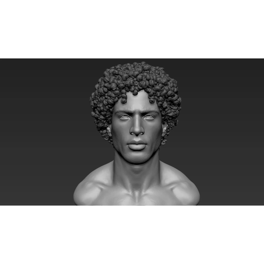 Male Bust 3D Model – High Poly Character Sculpture, ZTL & OBJ - View 3