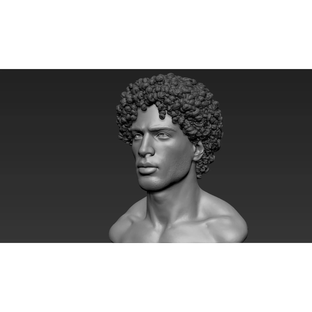 Male Bust 3D Model – High Poly Character Sculpture, ZTL & OBJ - View 4