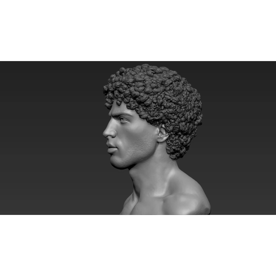 Male Bust 3D Model – High Poly Character Sculpture, ZTL & OBJ - View 5